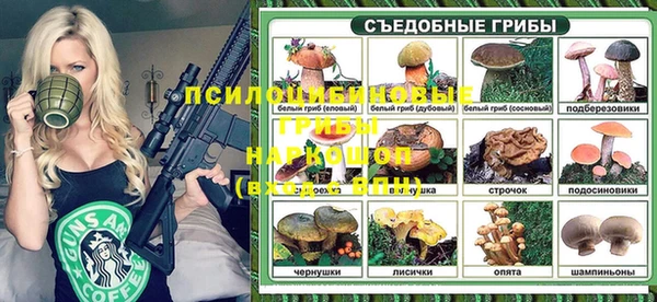 мяу мяу мука Абаза