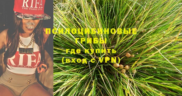 мяу мяу мука Абаза