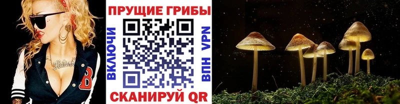Галлюциногенные грибы мицелий  Ялуторовск 